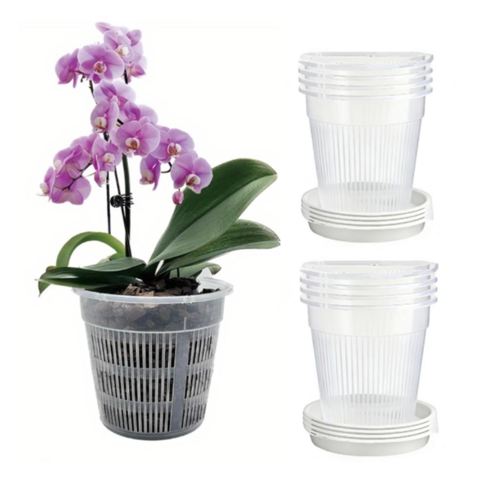 Set of 8 Transparent Orchid Flowerpots with Drain Trays for Supporting Root Development and Proper Water Drainage