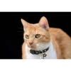 BoomBone Star Charm Studded Cat Collar Breakaway with Bell,Black Puppy Collars for Small Dogs