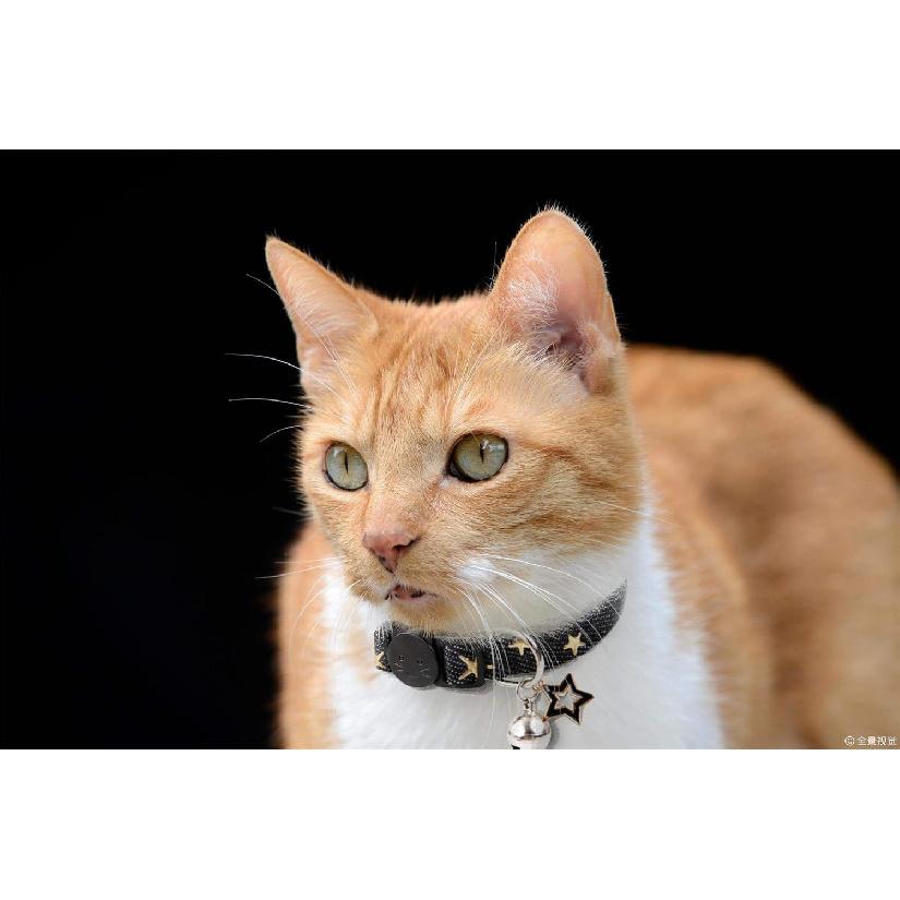 BoomBone Star Charm Studded Cat Collar Breakaway with Bell,Black Puppy Collars for Small Dogs