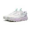 Li Ning Outdoor CF Tracing, Scenic Trail 2 Cushioning Lightweight Rebound Low top Hiking Shoes Women's AHTW046-3