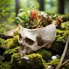 Eye Catching Skull Styles Resins Plant Pot Gothicism Skull Resins Halloween Flower Pot for Succulents And Small Plant