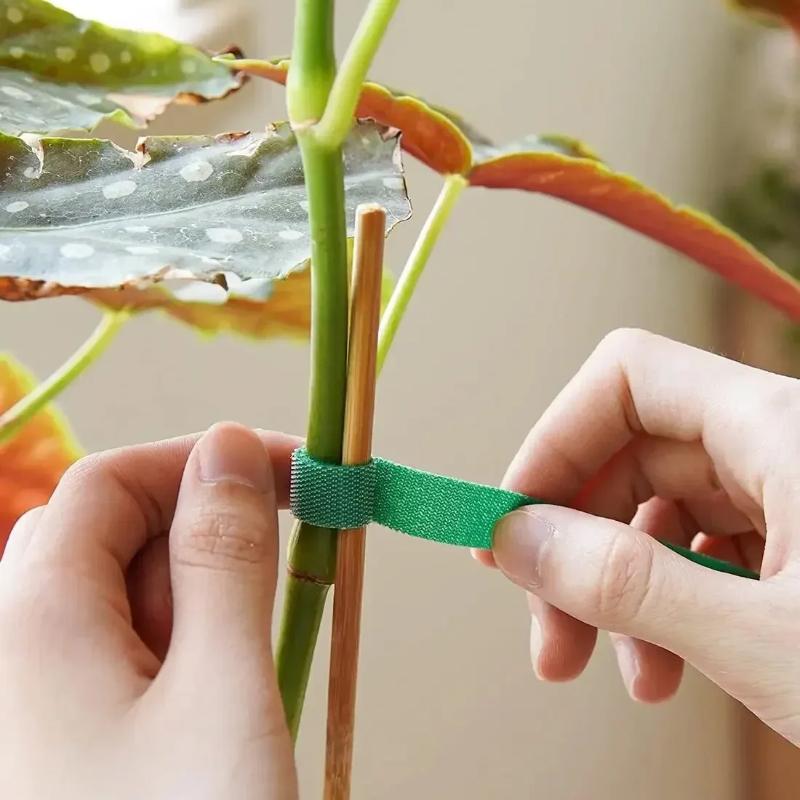 5M/3M Nylon Plantasjebånd Knytebånd Gjenbrukbare Plantekrok Løkkebånd Grønt Festetape Bambusstokk Innpakningsstøtte Hagehjemtilbehør