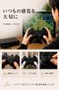 Colors to Choose PS2 PS1 Retro Game Controller 5 FromWired Controller, Compatible, (Clear Purple)