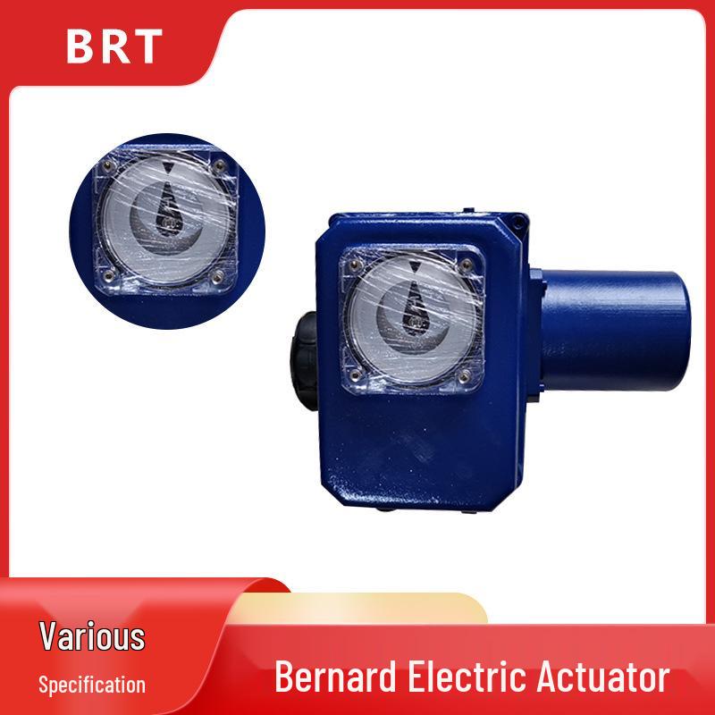 

Bernard 90° On-Off Electric Actuator 380V