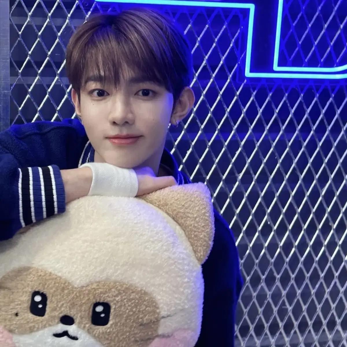 

Плоская подушка Ханини Джебе Директор Хао Подушка Ханини