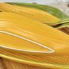 2pcs Creative Corn-Shaped Ceramic Serving Trays , Ideal for Bread, Desserts, Snacks , Sushi , 24.89cm/29.46cm , Food-Safe