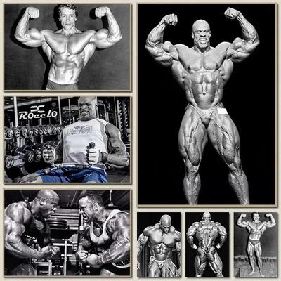 Arnold Schwarzenegger Bodybuilding Poster Perfect for Gym  Home Wall Decor Motivational Fitness Art Print