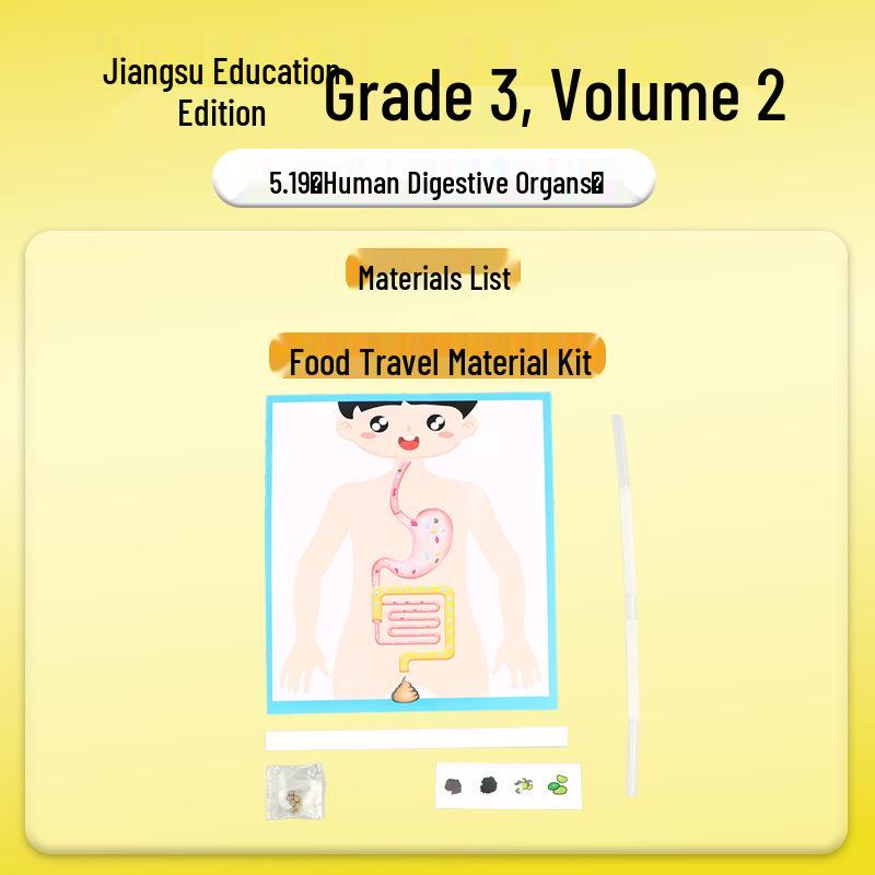 SuJiao Third Grade Science Kit: Food Journey & Human Digestive System