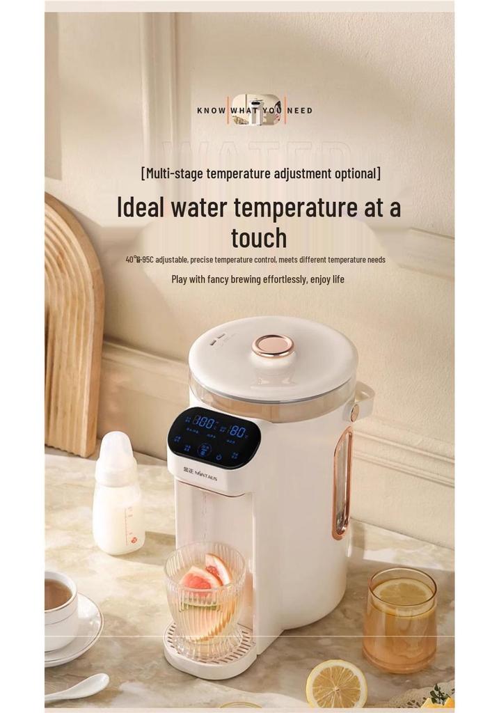 Multifunctional Electric Kettle with Intelligent Temperature Control and Auto Insulation