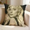 Pop Artist L-Lady Gaga  Pillow Case Square Double-Sided Sofa Cushion Cover Bedroom Bedside Pillow