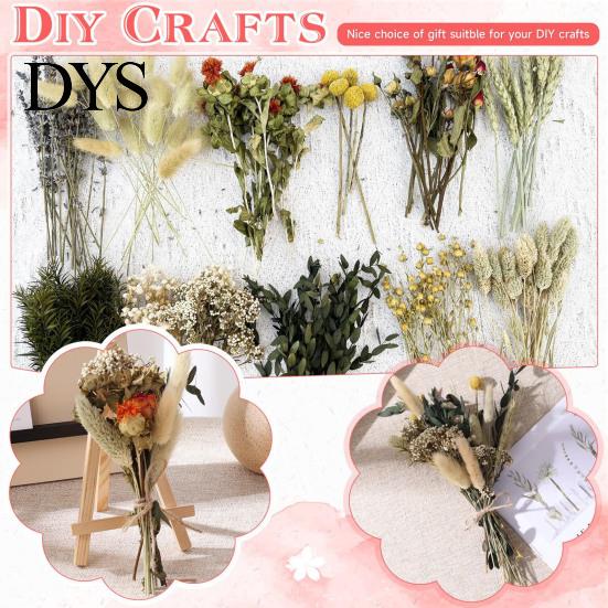 Souvenir Flower Decor DIY Natural Dried Set Eucalyptus Lavender Wheat Bunny Tails Billy Ball Wedding Flowers Bouquet with Stems for Crafts Home