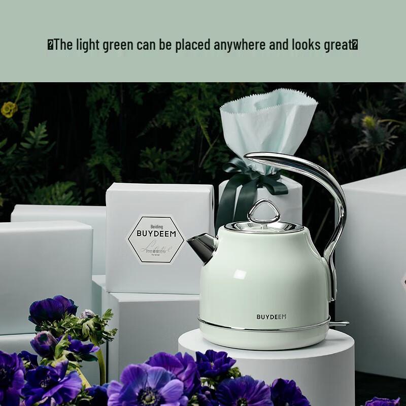 Buydeem K203 Stainless Steel Electric Kettle CN plug (adapter included)