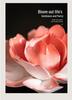 Xichun Handmade Ceramic Flower Incense Holder - Zen Style Ornament