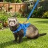 Adjustable Pet Traction Rope Dinosaur Shape Guinea Pig Safety Vest Ferret Vest Harness Outdoor