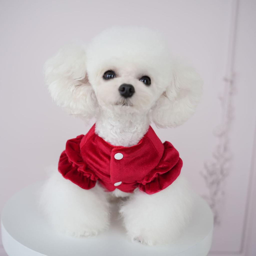 Pet Clothes Christmas Plush Dress Compared To Teddy Bear Autumn/Winter Five Flower Collar Tang Dress Wedding Cat Red Dress