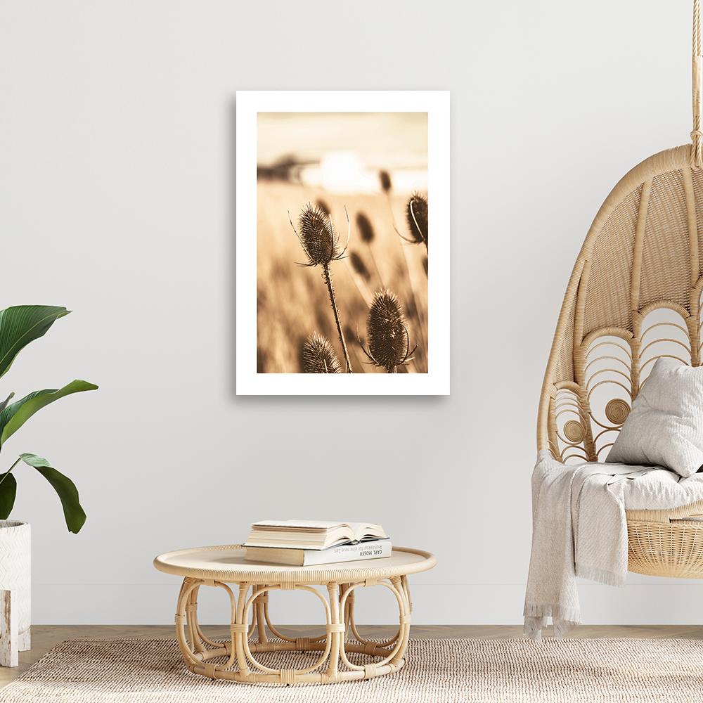 Canvas print, Desiccated thistle