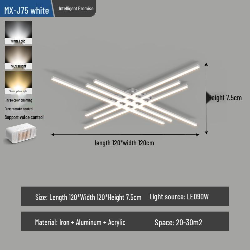 Modern Minimalist LED Ceiling Light for Living Room, Bedroom, and Study