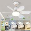Silent 52 Cm Ceiling Fan with E27 Lamp, 6 Blades, 40W, 3 Speeds - White