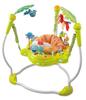 Rainforest Baby Jumper & Swing: Fitness Bouncer for Ages 0-3