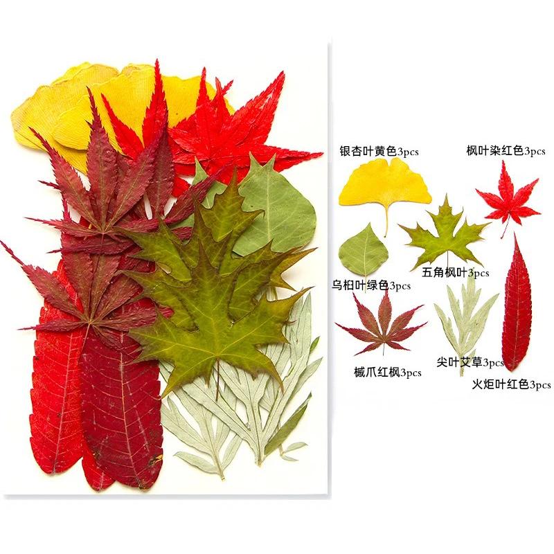 21PCS Set Dried Pressed Plants Leavse for Jewelry Resin Making Natural Green Leaves Flowers Material for DIY Supplies