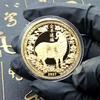 Zodiac Chinezesc Capră 2027 Monedă de Colecție Norocoasă Finisaj Detaliat Suvenir pentru Cadou de Anul Nou Hobby Colecționar
