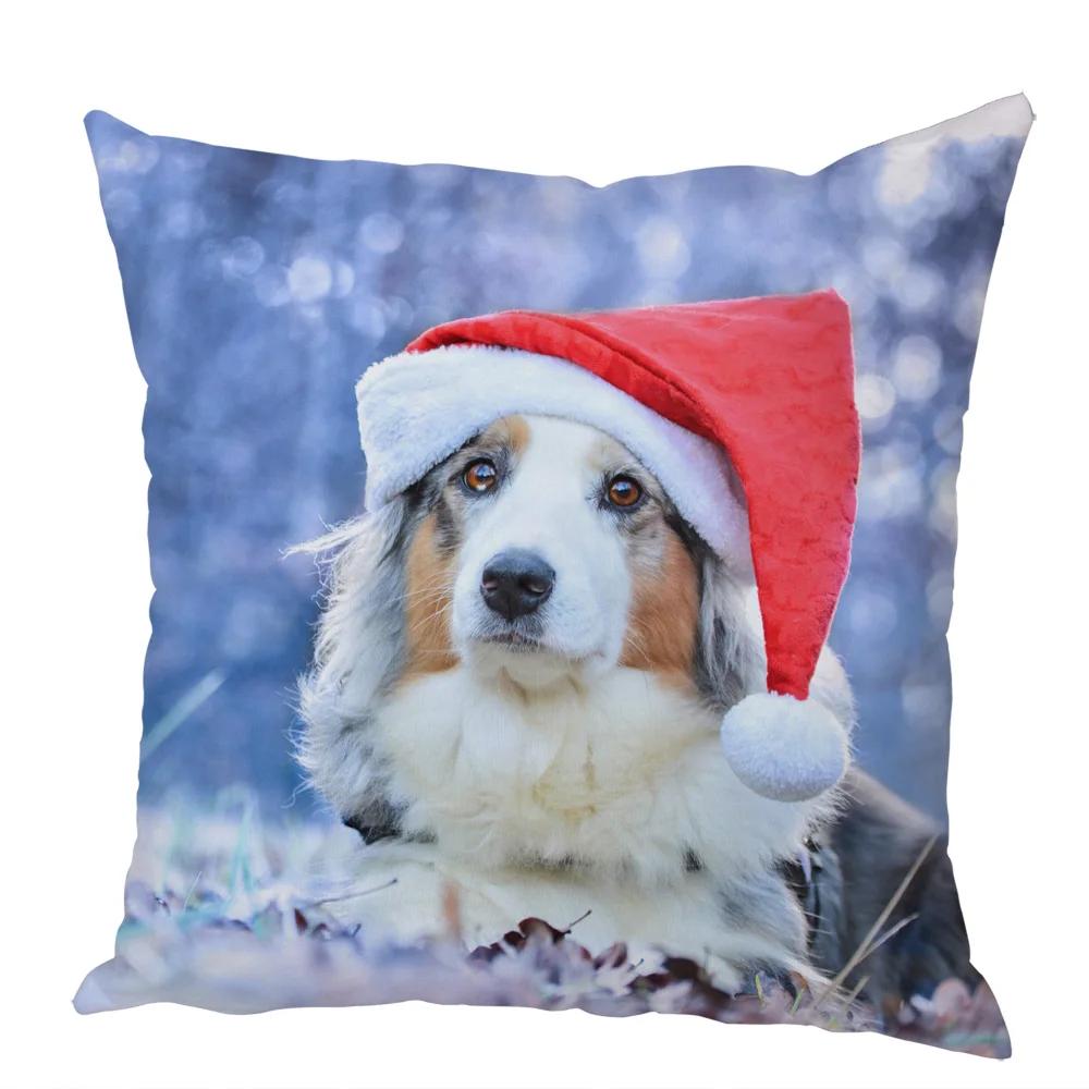 Cute Australian Shepherd Dog Pillow Case Peach Skin Decor Pet Animal Cushion Cover Thorw Pillowcase for Sofa Home Car 45x45cm