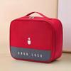 Large Portable First Aid and Medication Storage Bag for Travel and Home Use