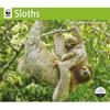 Carousel Calendars, Sloths WWF 2026 Wall Calendar, 12.01'' X 14.09'', 16-Month Calendar with Stapled Binding