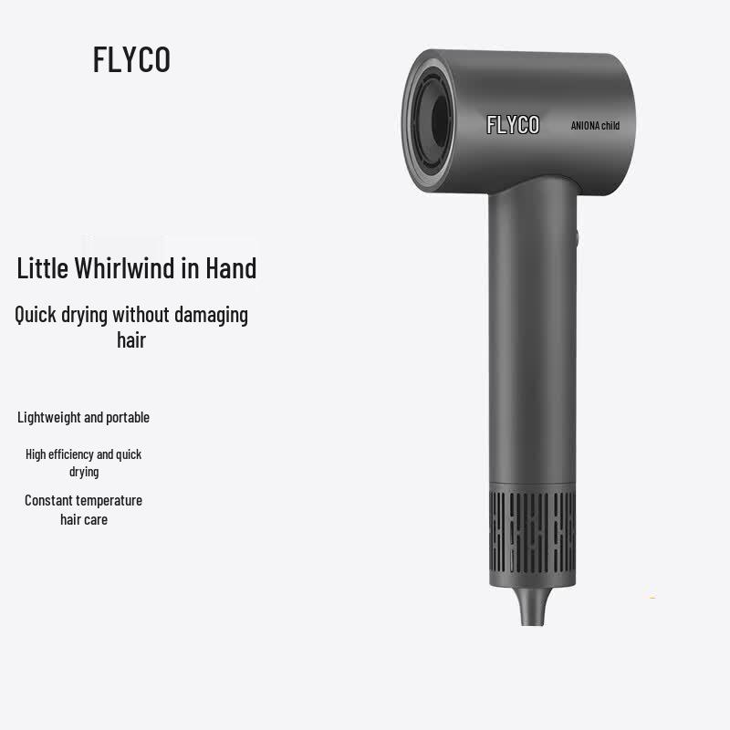 Flyco High-Speed Ionic Hair Dryer CN plug (adapter included)