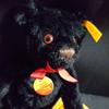 [GEBRAUCHT] Ausgezeichneter Zustand Vintage Steiff Teddybär, Deutsches schwarzes Mohair