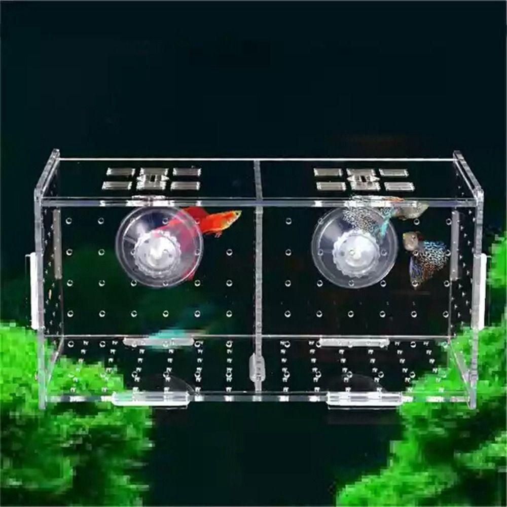 

Fish Tank Incubator for Baby Fishes Hatchery Fish Breeding Box Fish Separation Box Incubator S