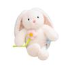 Xiaohongshu Valentine's Day Long-Eared Rabbit Plush Doll Toy.