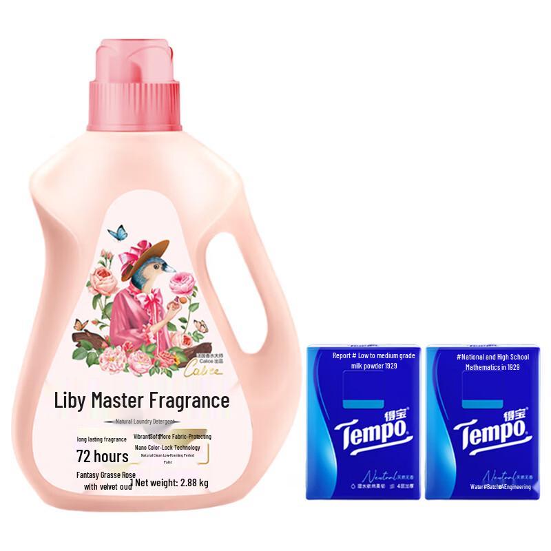 Tempo Pocket Tissues (2 Packs) & Master Laundry Detergent (2880g) Bundle