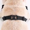 Tutore per Zampe di Cane in Neoprene Traspirante Opzioni Multi-Taglia Fasciatura Canina Recupero Post-Infortunio