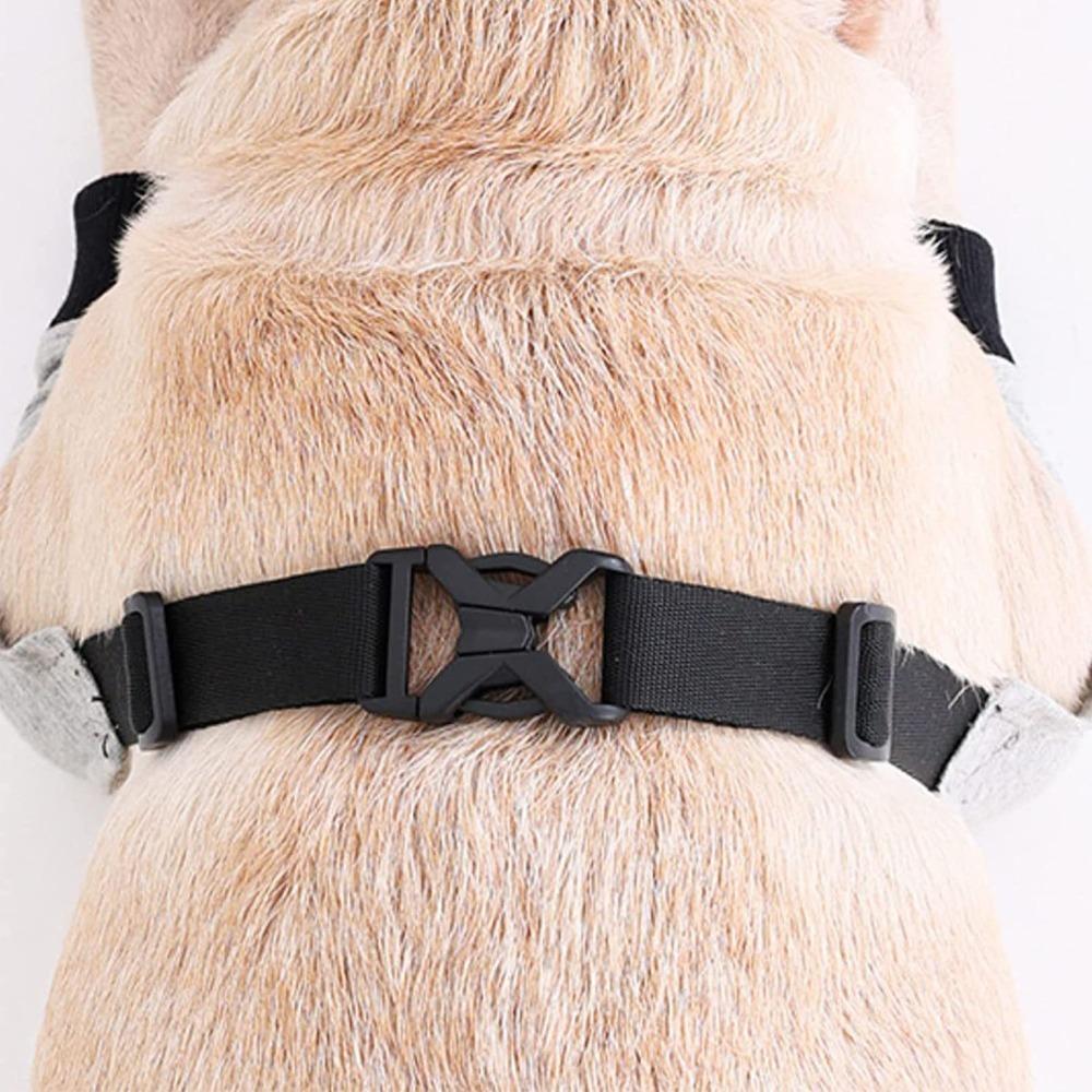 Tutore per Zampe di Cane in Neoprene Traspirante Opzioni Multi-Taglia Fasciatura Canina Recupero Post-Infortunio