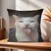Funny Cat MMeme  cm Cushion Cover Pillow Cover Decor Pillowcase Home Pillowcase for Couch Pillow