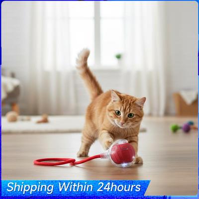Gatos – Juguetes para gato