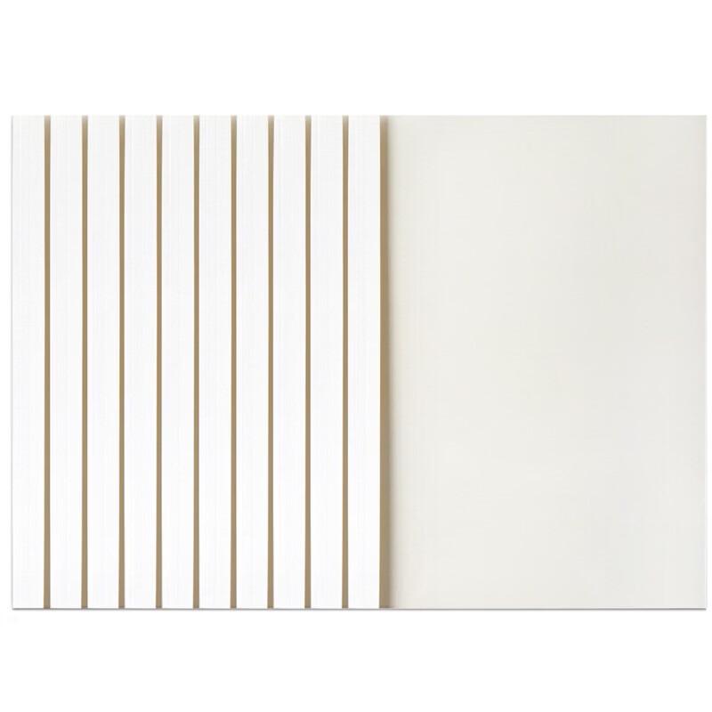 Deli 3864 A4 Hot Melt Binding Covers