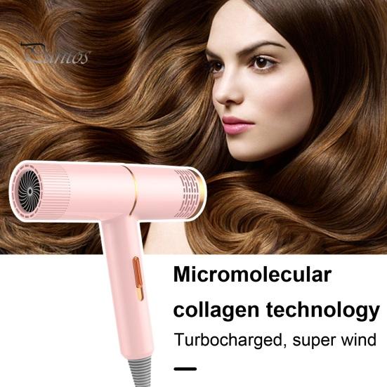 Household Hair Dryer with 800W High-Power Blue Light Negative Ion Hair Care Blow Dryer Women Men Hair Dryer for Mute & Quick Drying Hair (EU Plug)