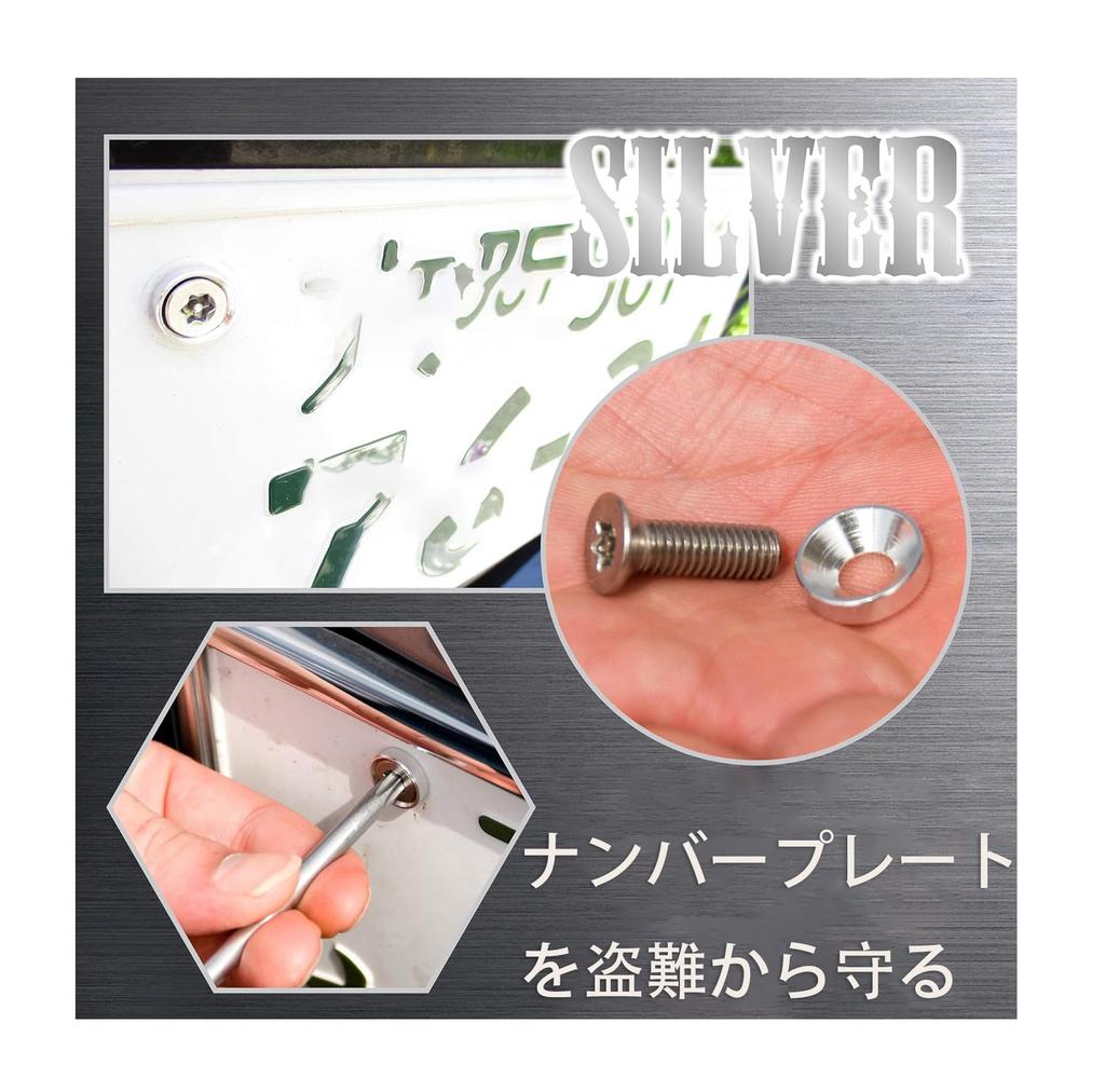Anti-theft license plate bolt set - 4 stainless steel M6