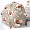 Accesorii – Umbrele