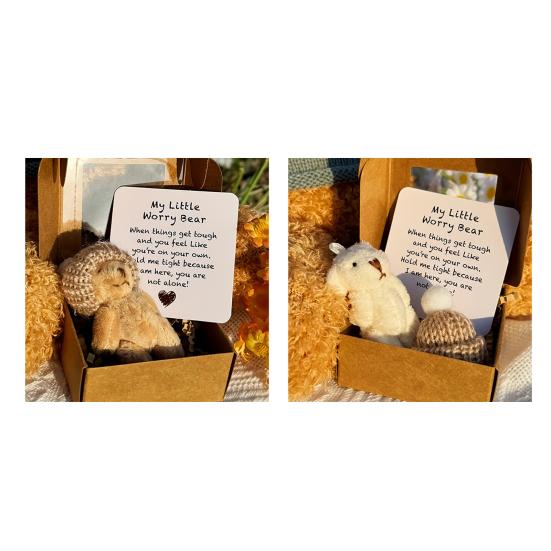 

2 набора Плюшевый мишка в подарочной коробке Мини карманный мишка для обнимашек Кукла Плюшевая игрушка для эмоциональной поддержки с вдохновляющей карточкой Милая игрушка для комфорта для снятия тревоги