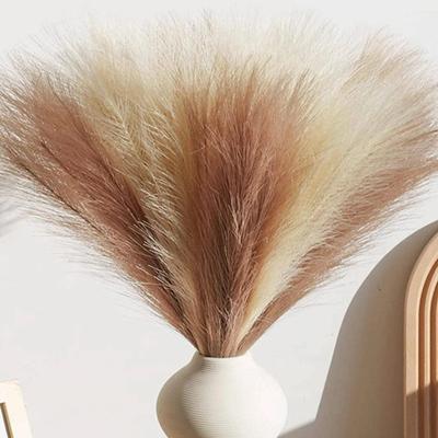 10/20 stücke Künstliche Pampas Gras Simulation Feder Festival Hochzeit Prop Reed Haar Hause Dekoration Ornament Blume Anordnung