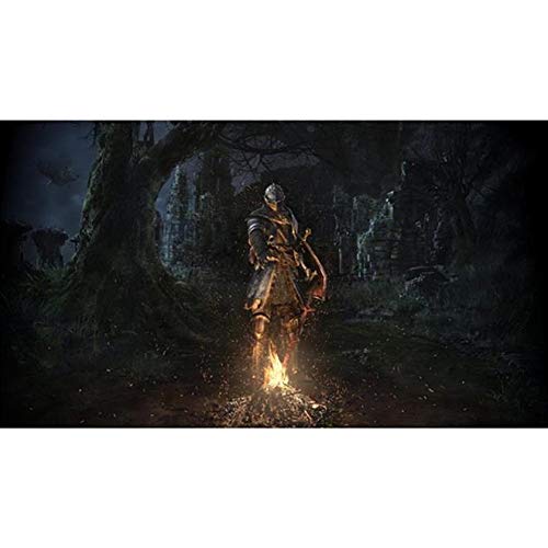 Dark Souls Remastered (Importieren: Nordamerika) - PS4