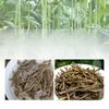 Dried Long Green Beans Farm Made Dehydrated Vegetables Natural Snack Bulk