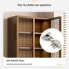 Changbaosen 5-Tier Floor-Standing Storage Cabinet