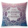 Home Decor Pillow Cover Seat Sofa Bedroom Living Room Cushion Cover Gift Car Decoration Accessories Ornament