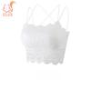 Thin Lace Beautiful Back Tube Top Underwear Bra Anti-exposure No Steel Ring Gathered Underwear Girl Chest Wrap Bra Top