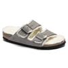 Mules Gray Arizona Normal