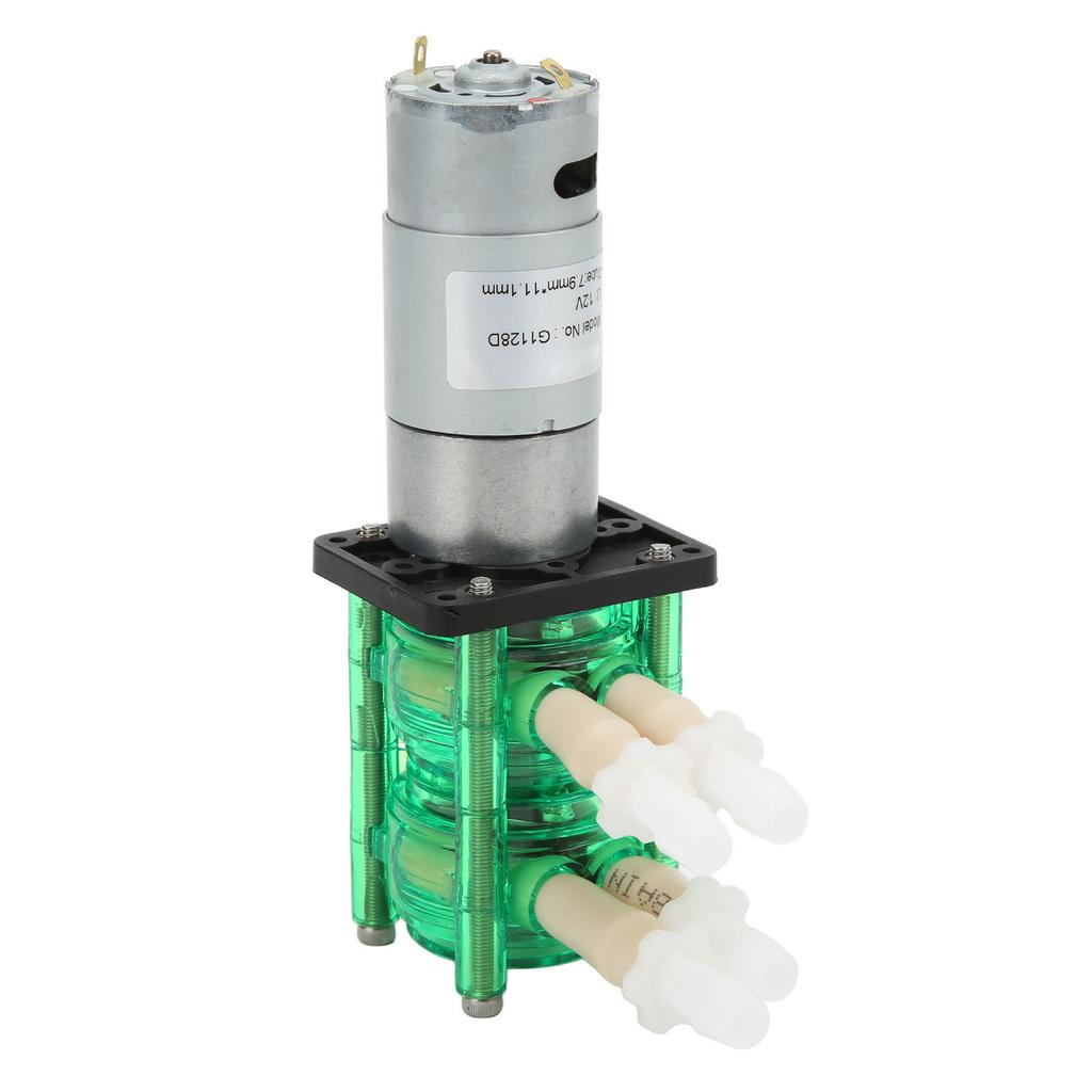 Dual Head High Flow Corrosion Resistant Peristaltic Pump Liquid Dosing Pump with BPT Tube 700mlmin